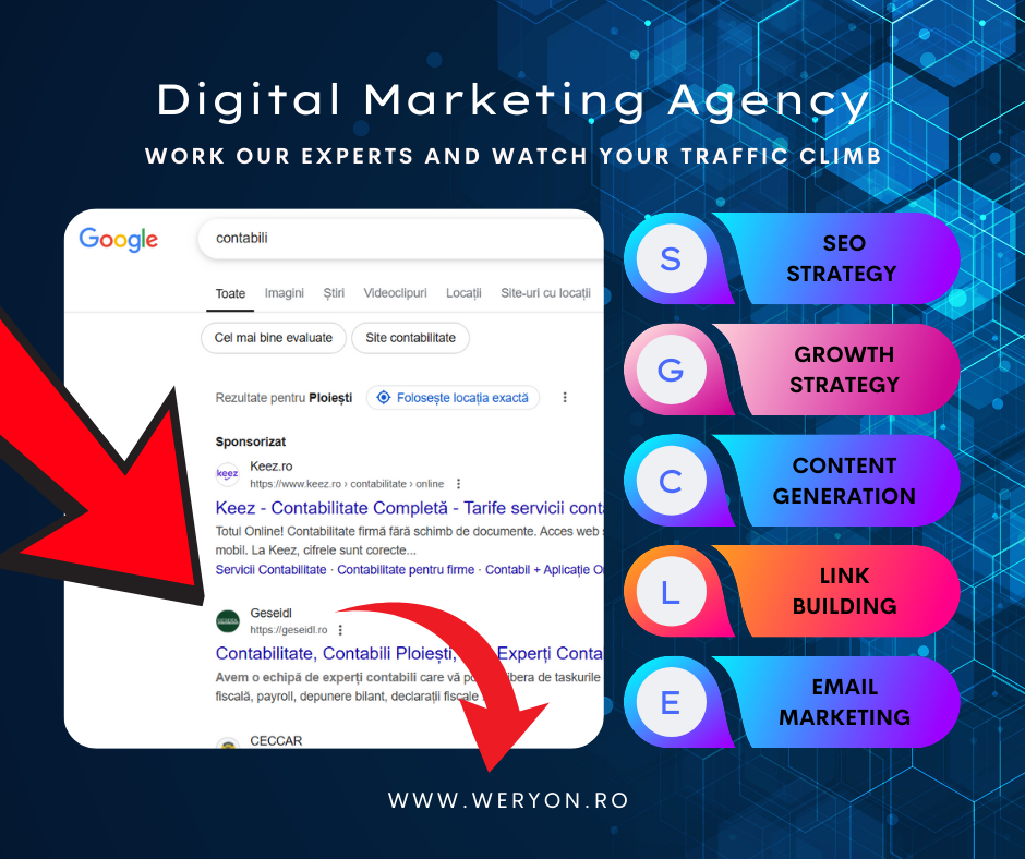 rezultate SEO afacere contabilitate