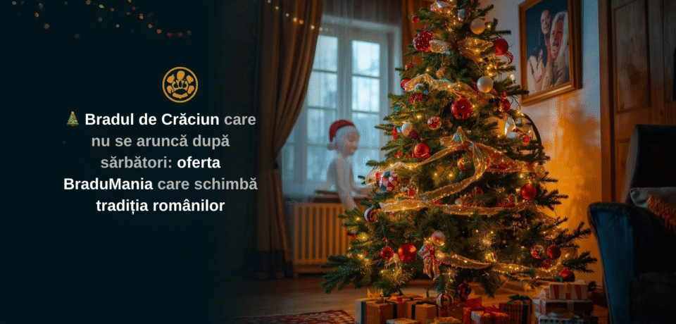 Bradul de Crăciun care nu se aruncă după sărbători